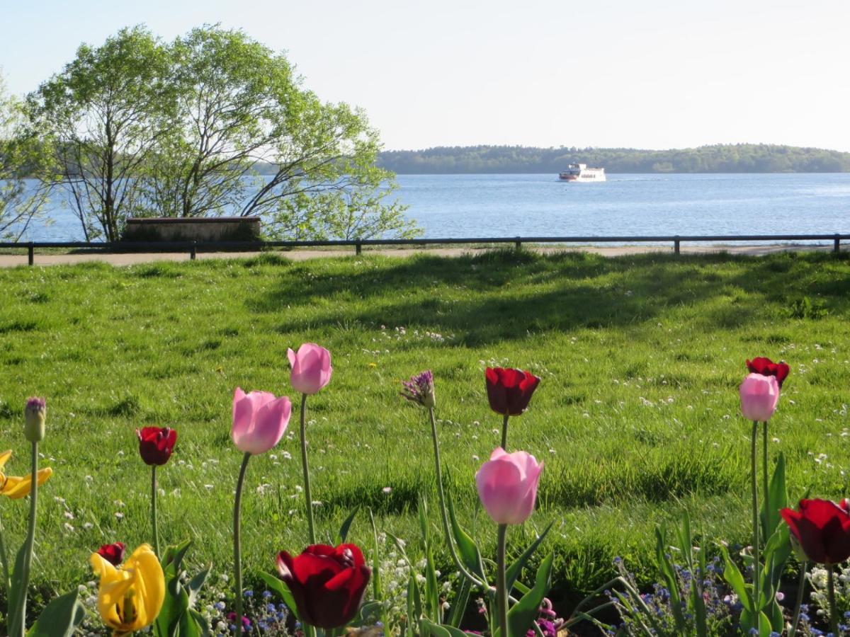 Marie's Tranquil Terrace Apartments: Lakeside Retreat with Parking Waren  Exterior photo